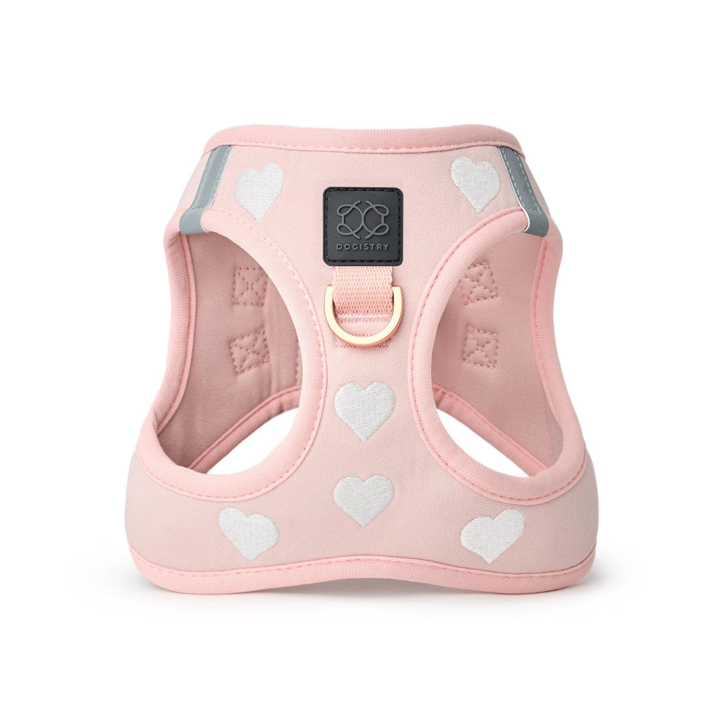 Soho Dog Walking Set - Sweetheart