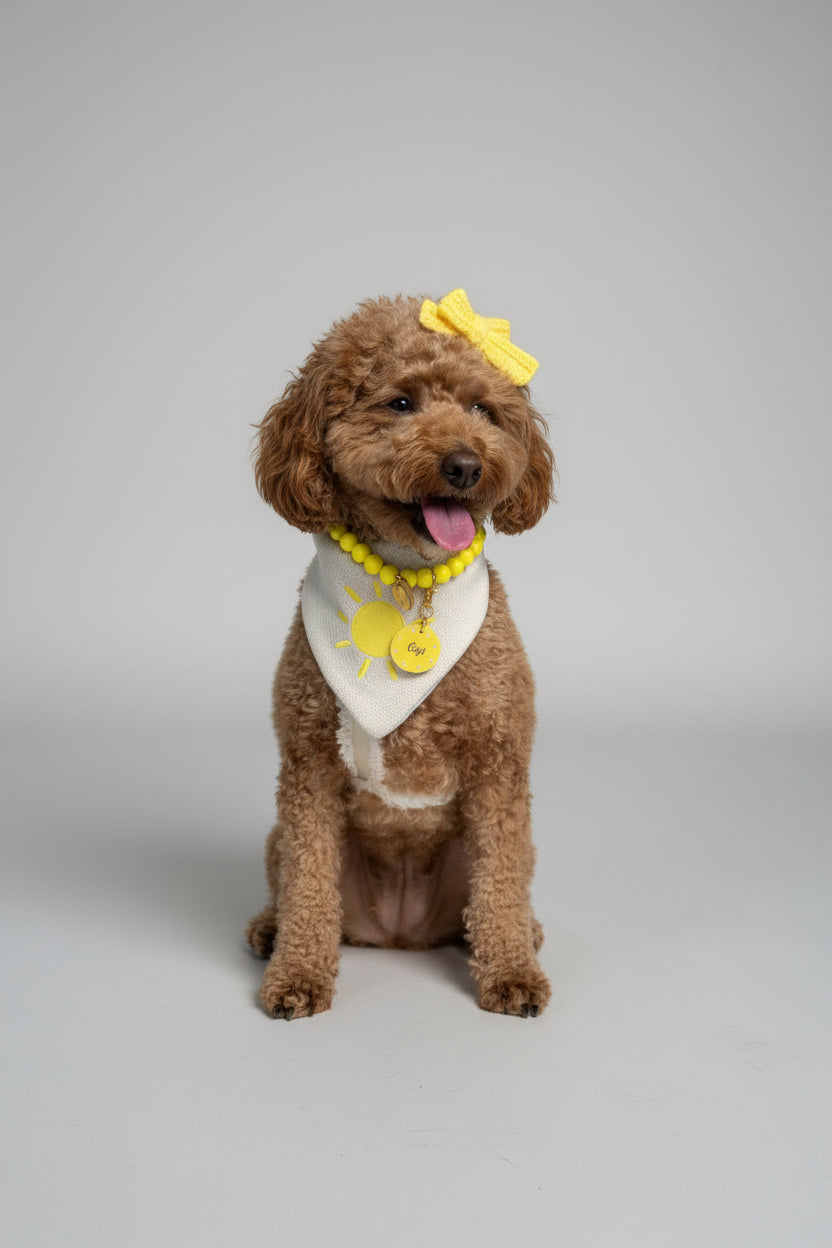 Sunshine Club Reversible Bandana