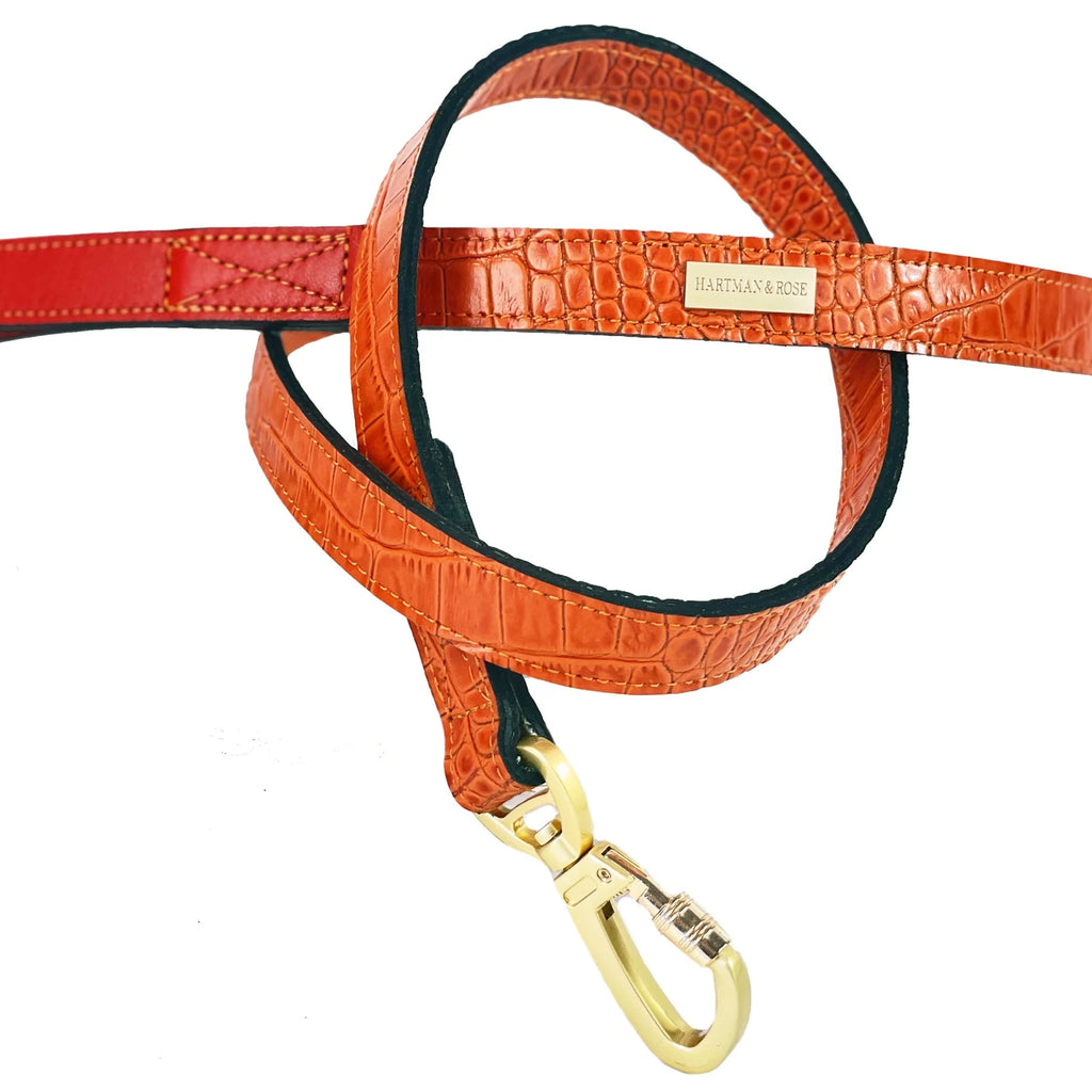 Cayman Dog Leash in Tangerine