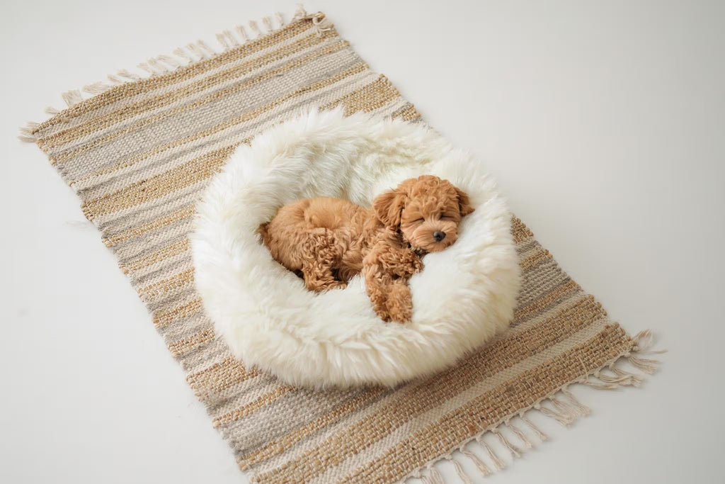 Merino Sheepskin Pet Bed , Cat Cave , Dog Bed , Cat House ,Pet Furniture Hand Made - Genuine Real Sheepskin - Creamy White