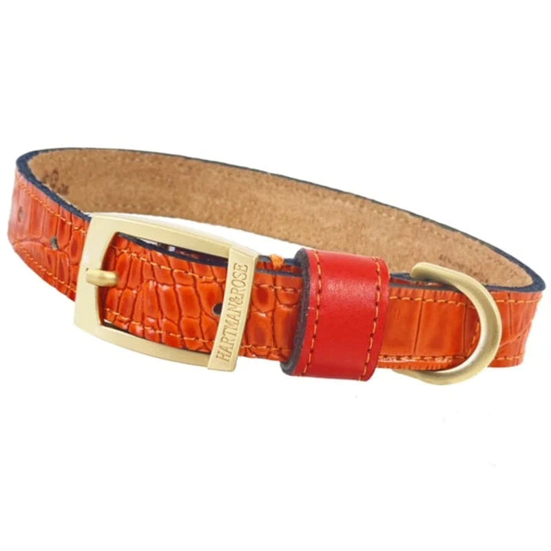 Cayman Dog Collar in Tangerine