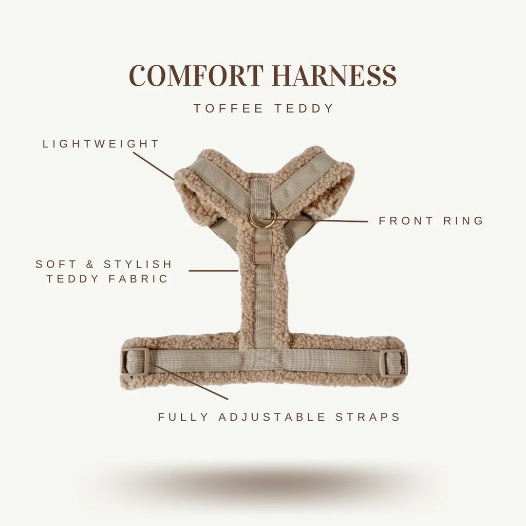 Comfort Teddy Harness/Leash Set- Toffee