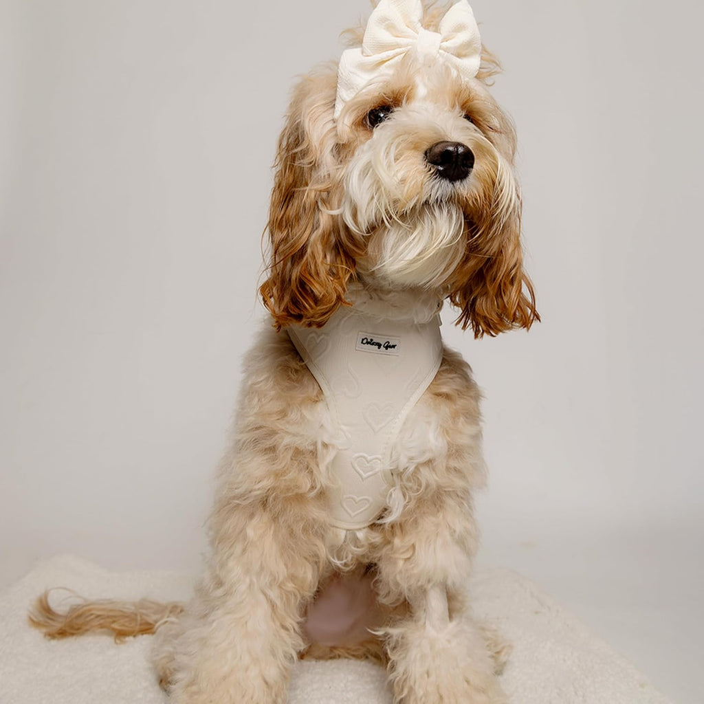 Signature Pink Hearts Luxury Walk Set — Large Harness, Leash, Collar, Bandana & Bow