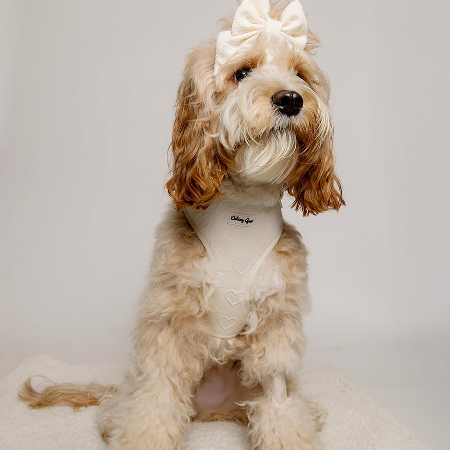 Signature Pink Hearts Luxury Walk Set — Large Harness, Leash, Collar, Bandana & Bow