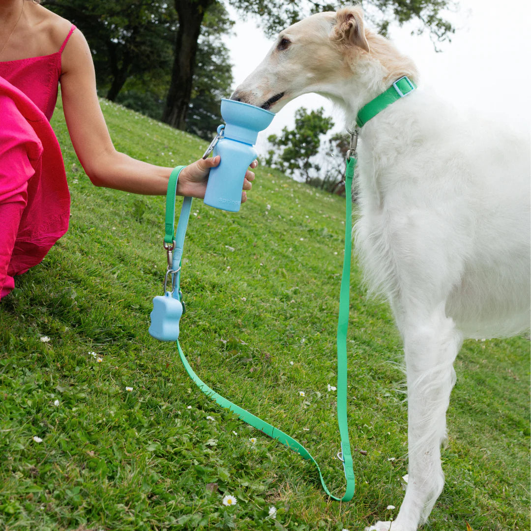 Waterproof Dog Leash + Collar Set