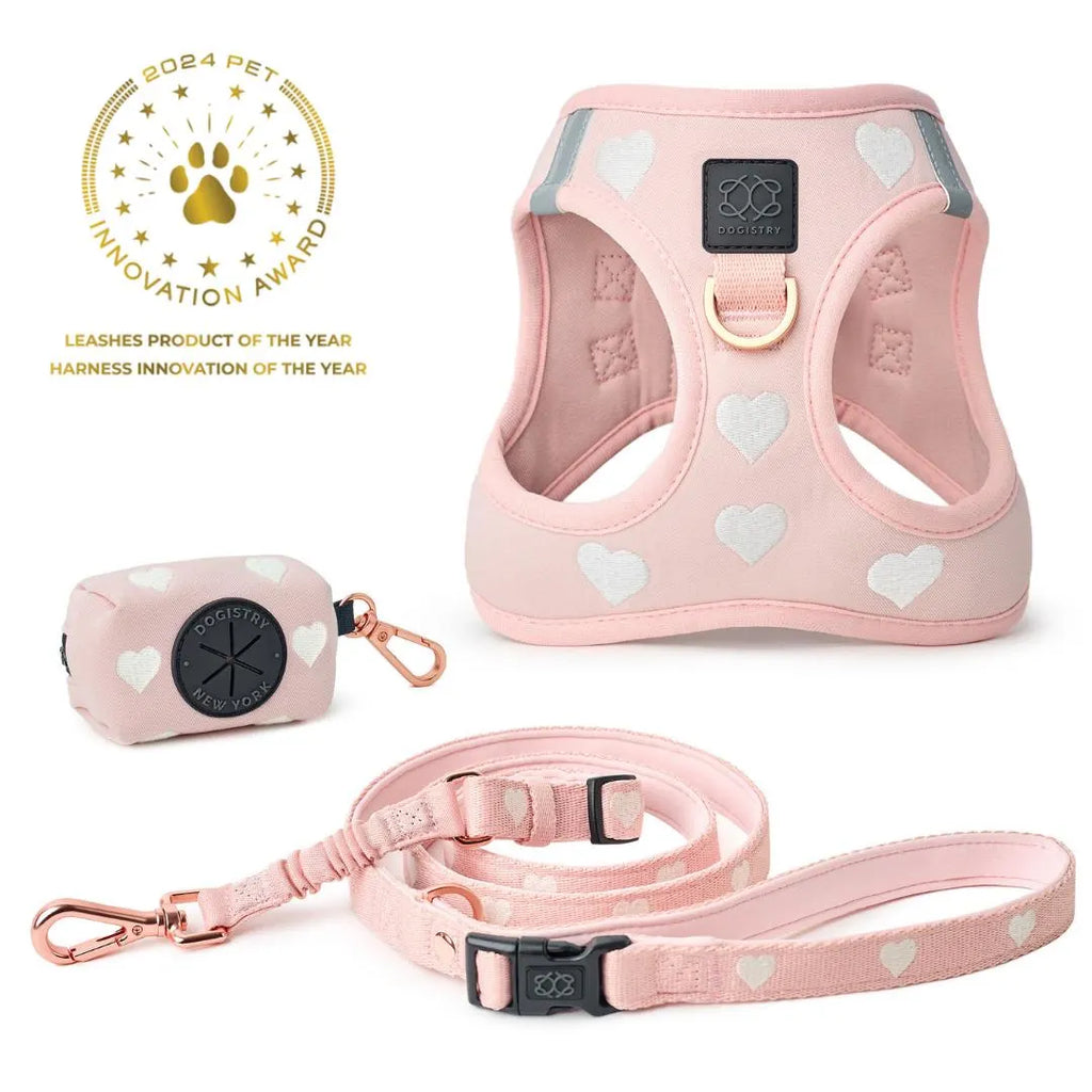 Soho Dog Walking Set - Sweetheart