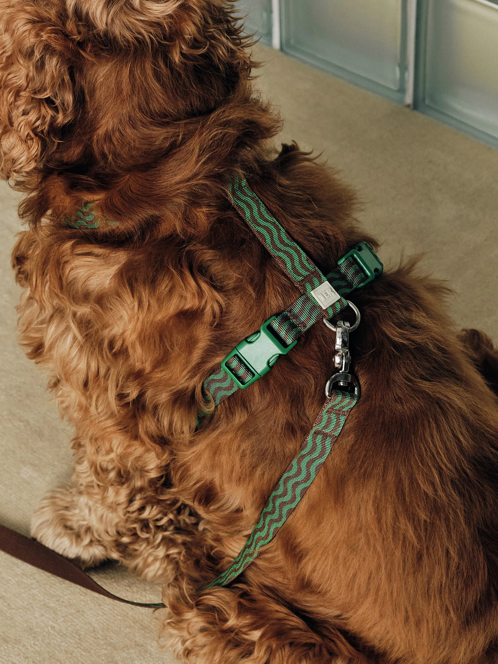 “The Laguna Wave” Leash
