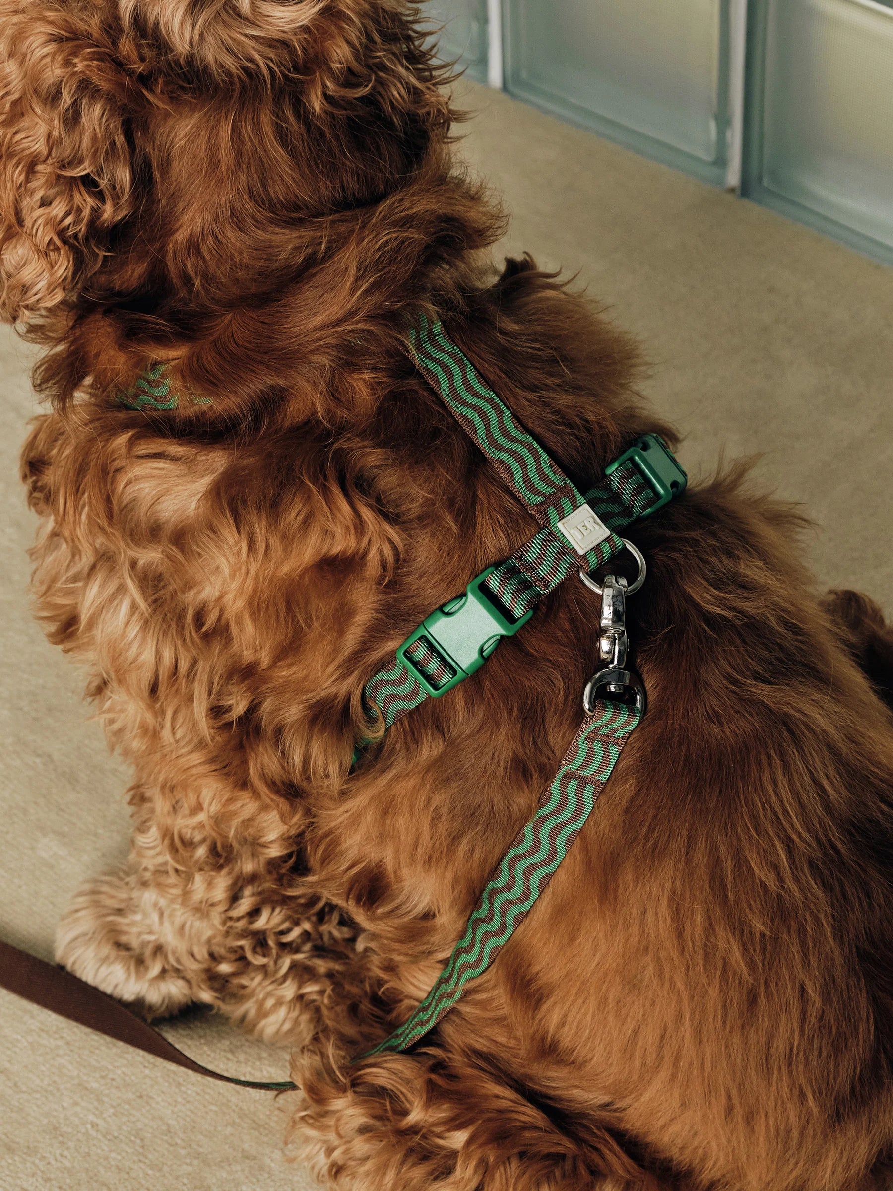 “The Laguna Wave” Leash
