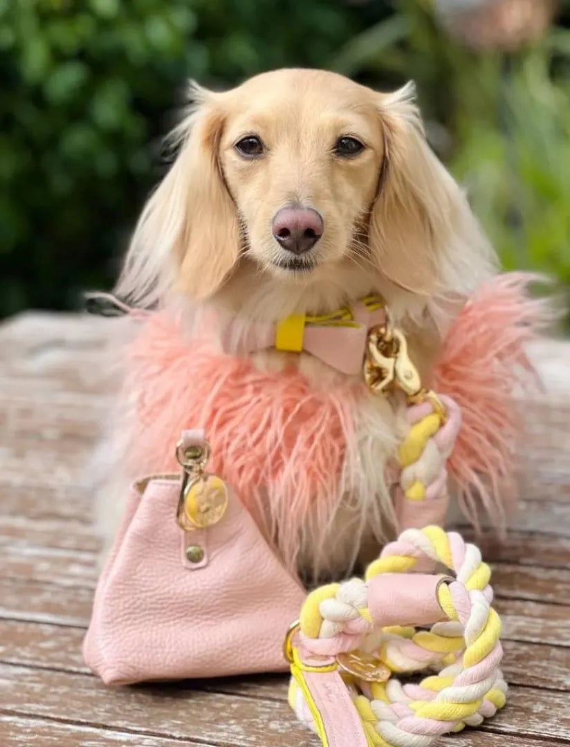 The Braided Rope Leather-Handle Leash
