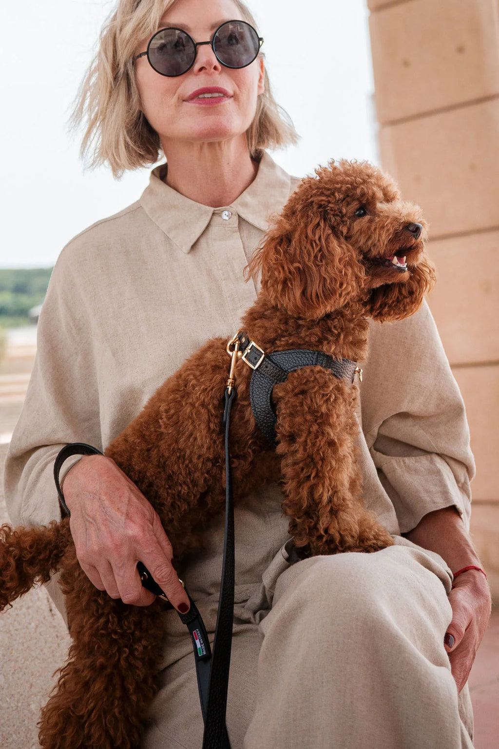 Black Leather Juno Dog Harness