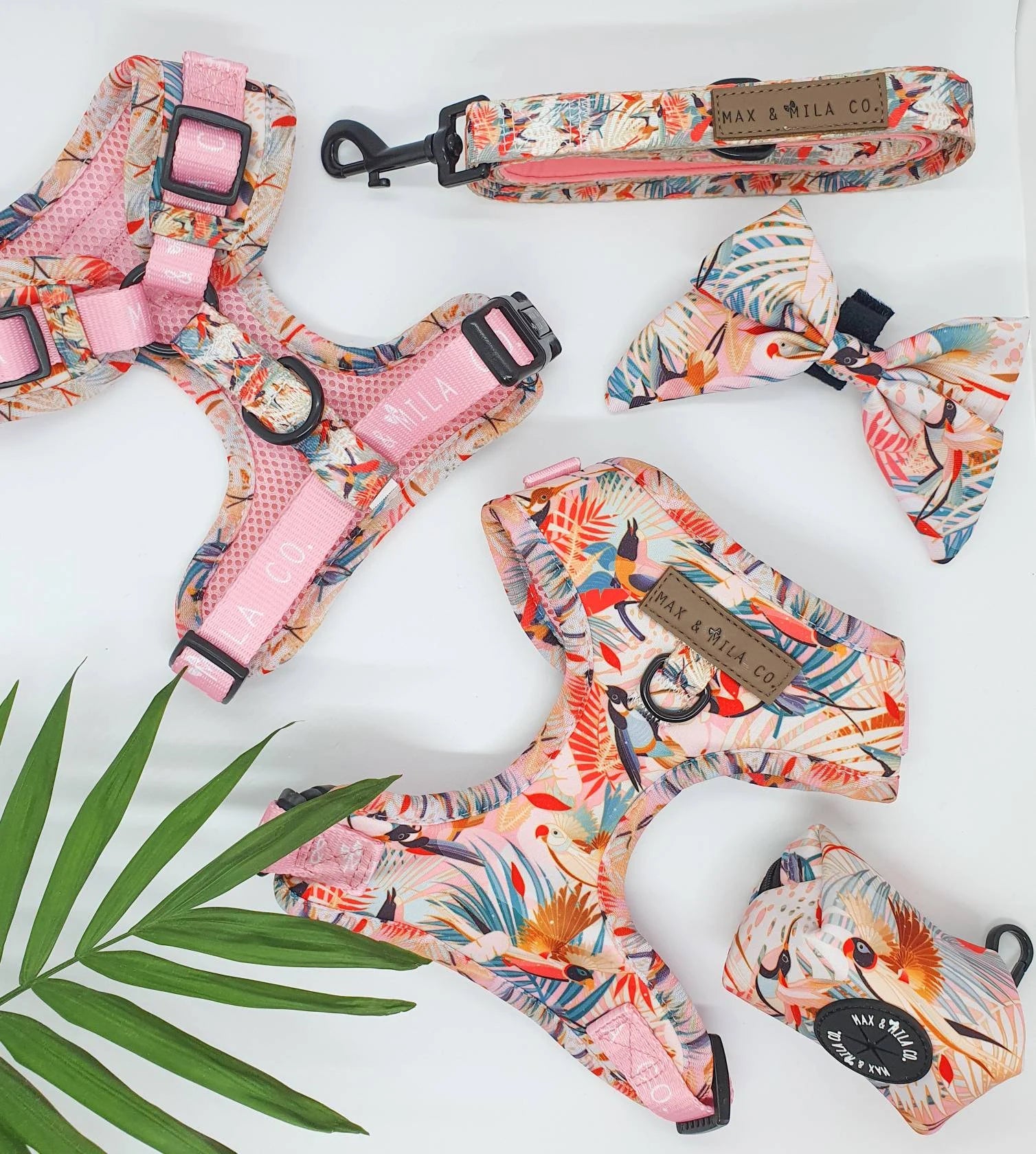 Paradise Designer Dog Harness Set