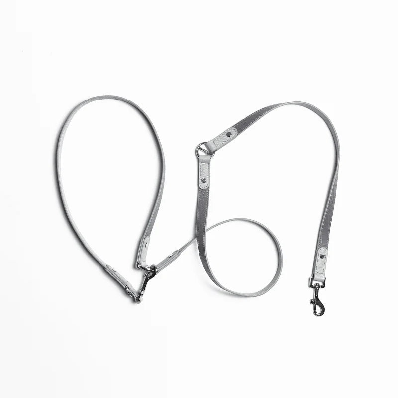 Moonstone Hands-Free Dog Leash