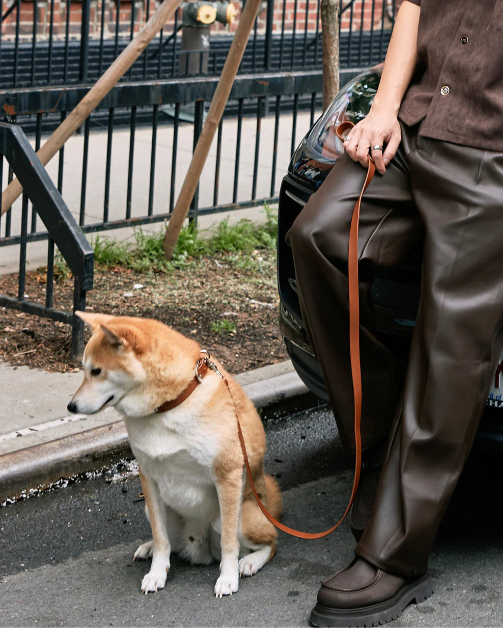Boss Leash