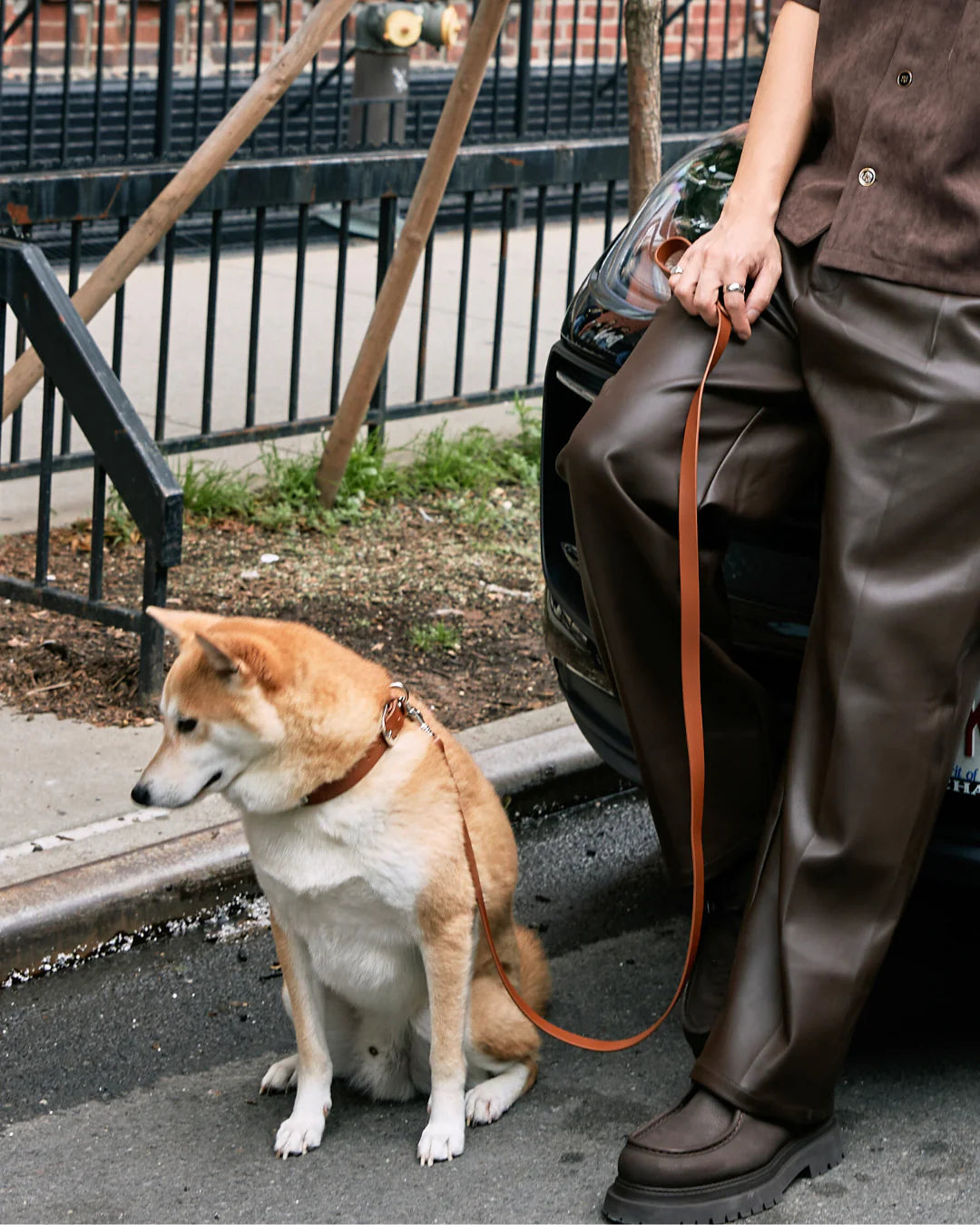 Boss Leash
