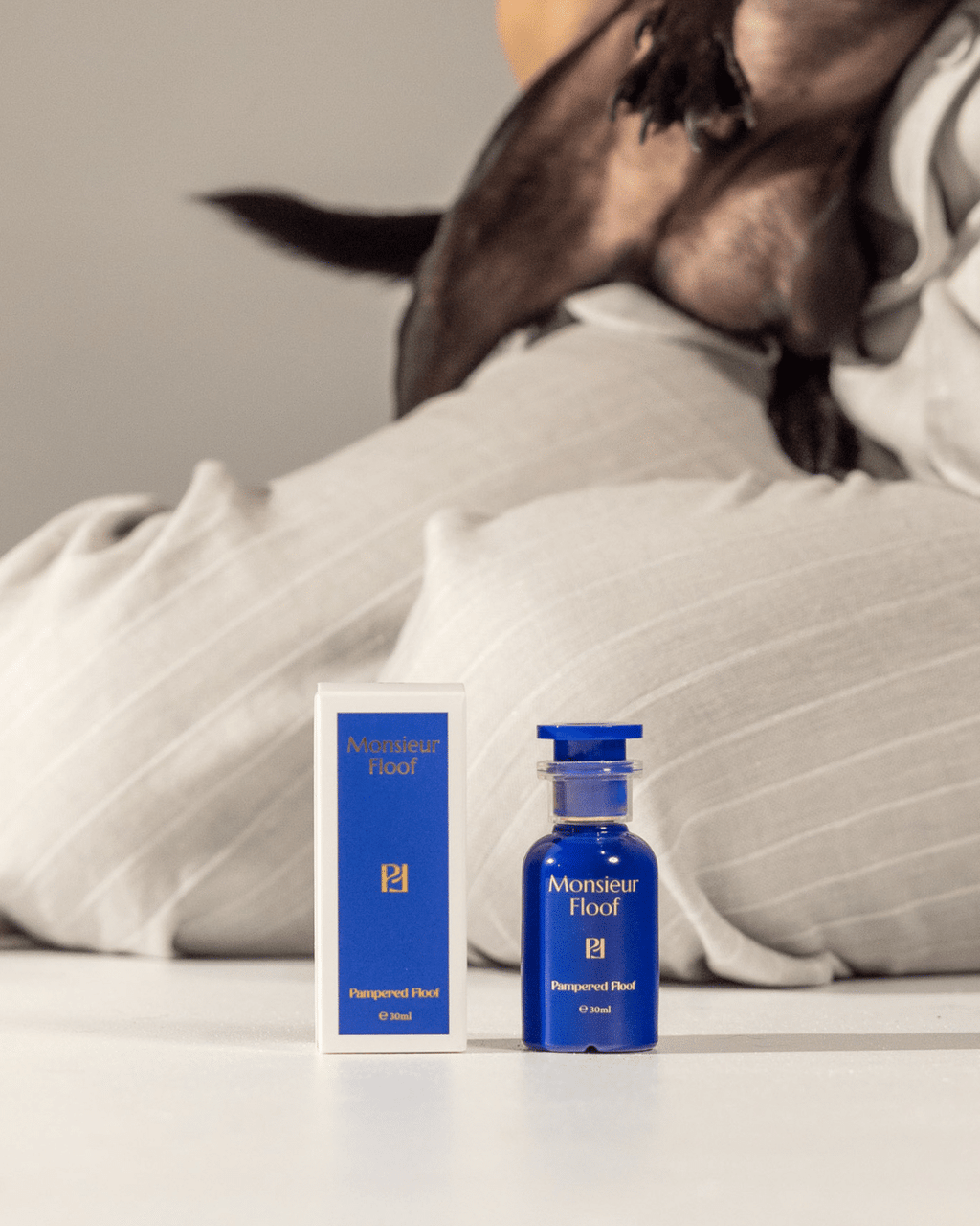 Monsieur Floof