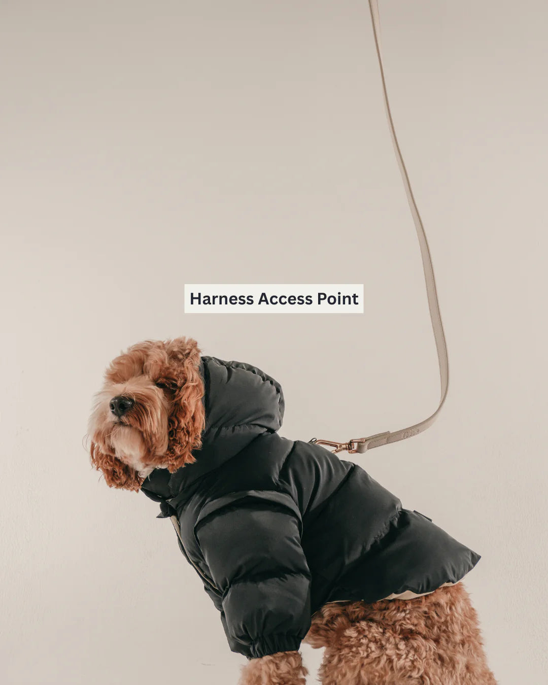 Midnight | the Modular Puffer