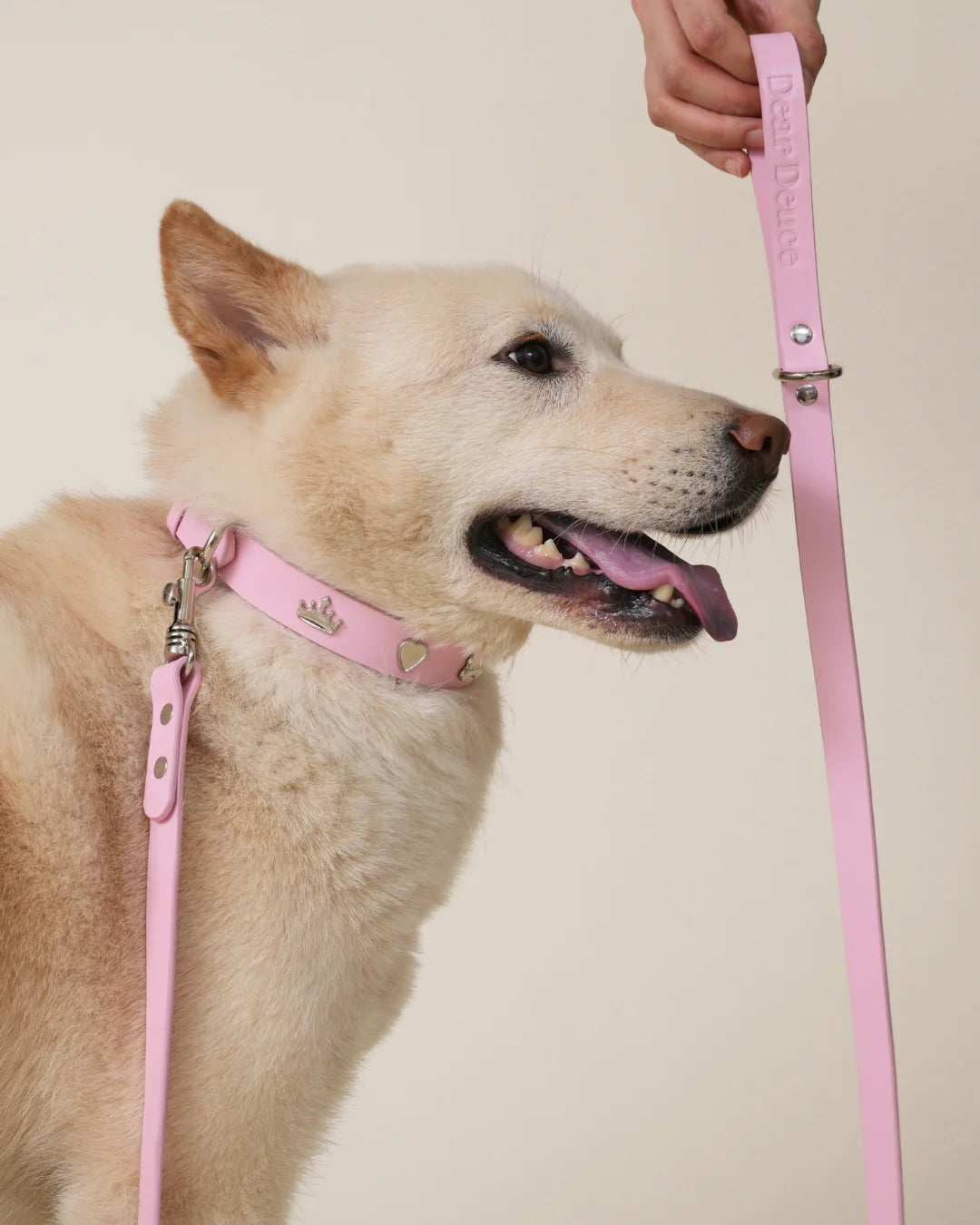 Princess Leash