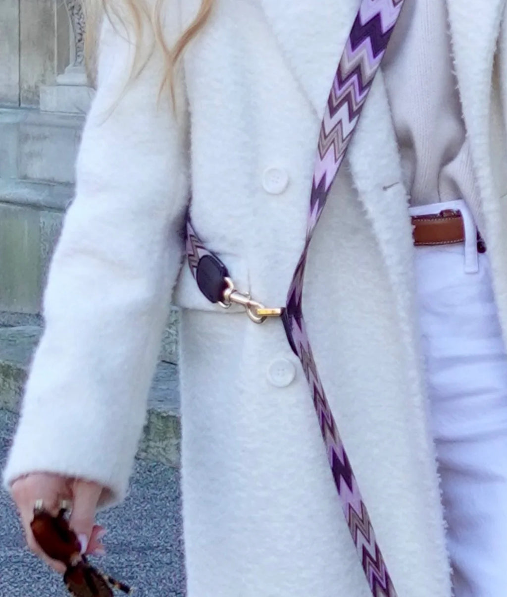 Dog Leash Chevron Violet