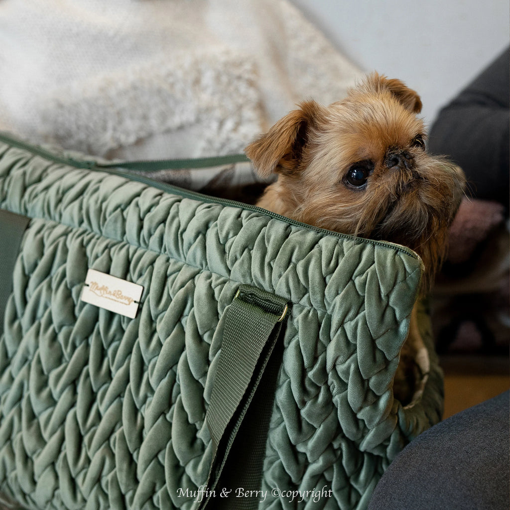 Velour Luxury Pet Carrier