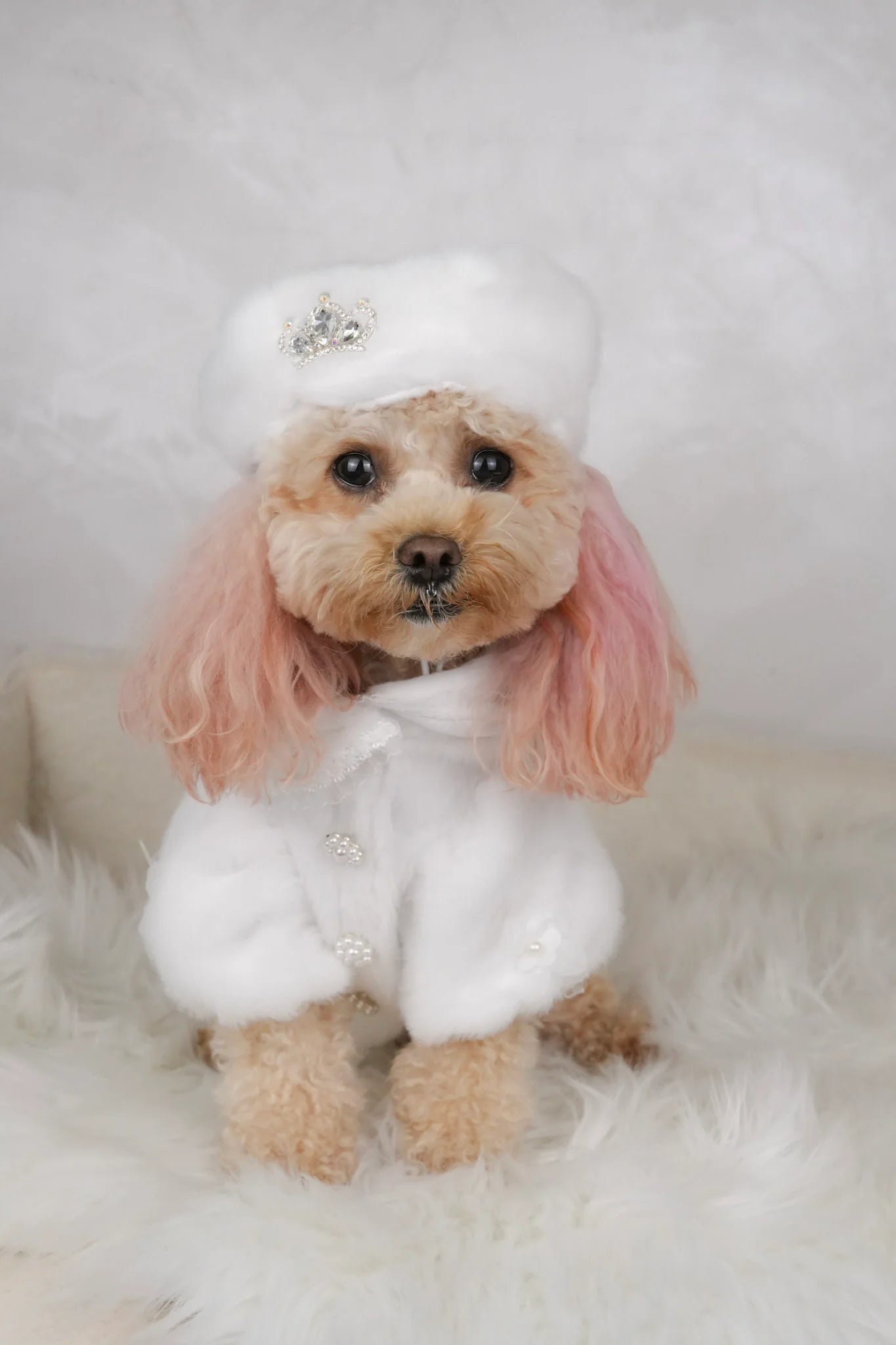 Snow Belle