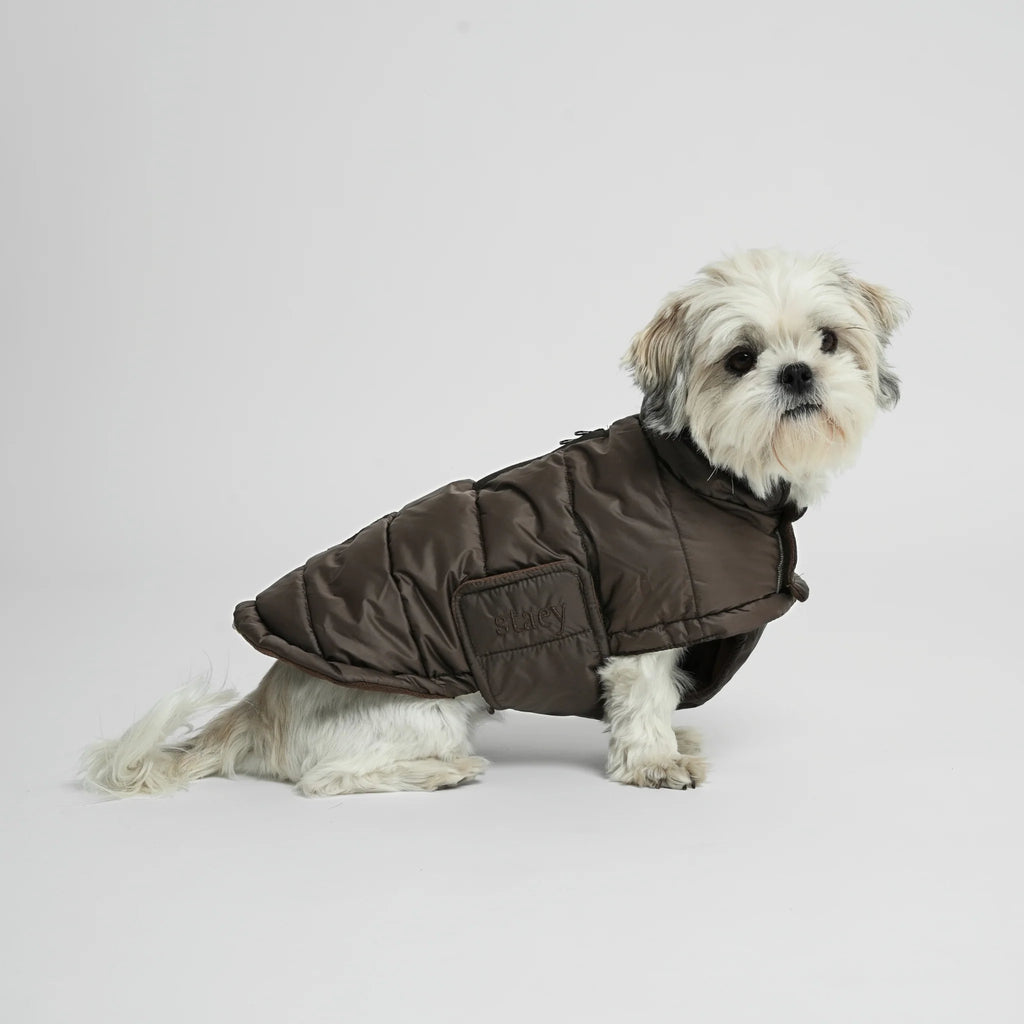 Nora Dog Coat | Espresso
