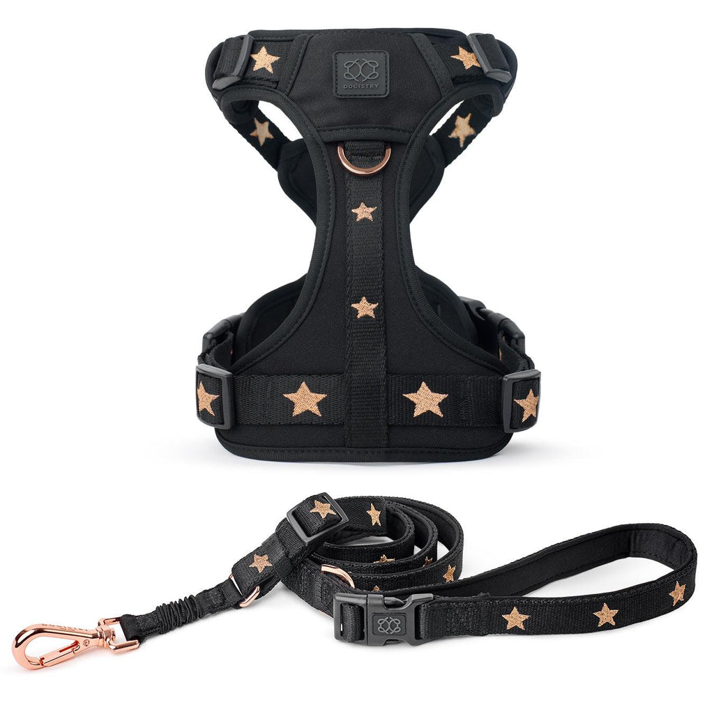 City Leash Set - Rockstar (Nomad)