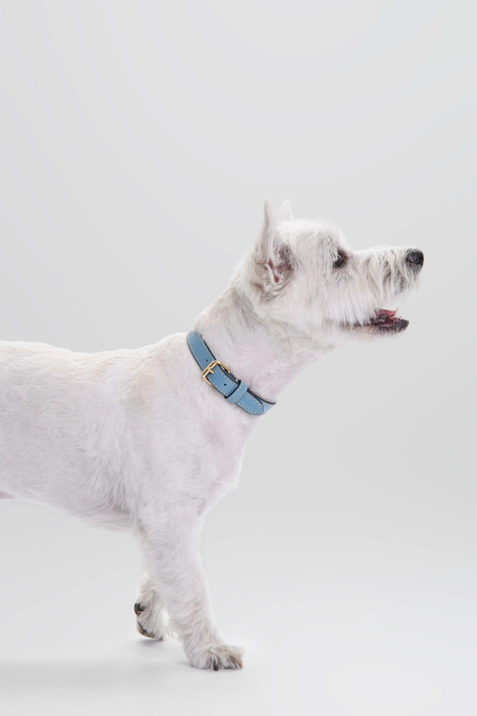 The Azzurro Collar Set