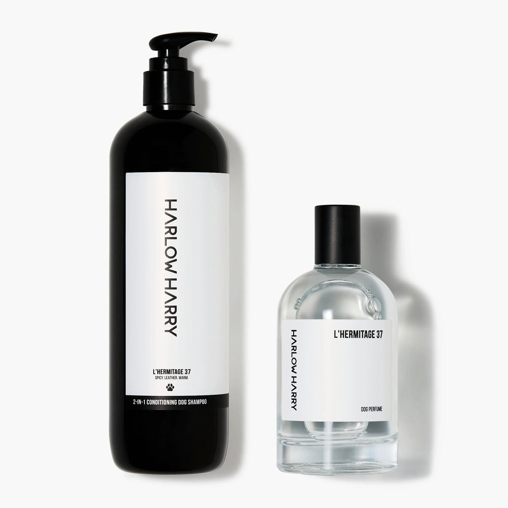 The Set | L'Hermitage 37