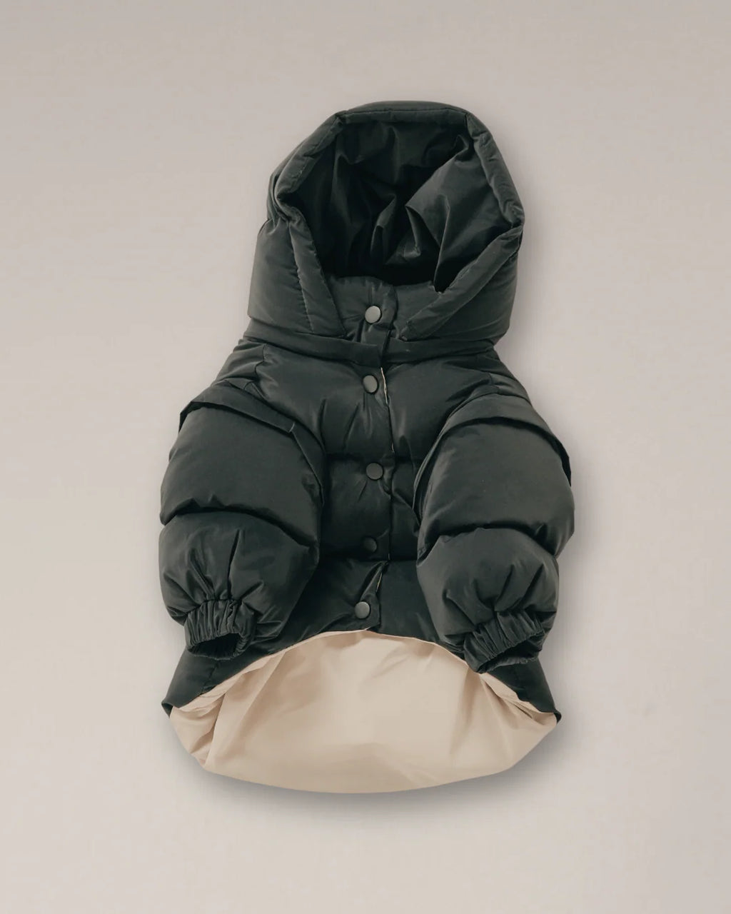 Midnight | the Modular Puffer