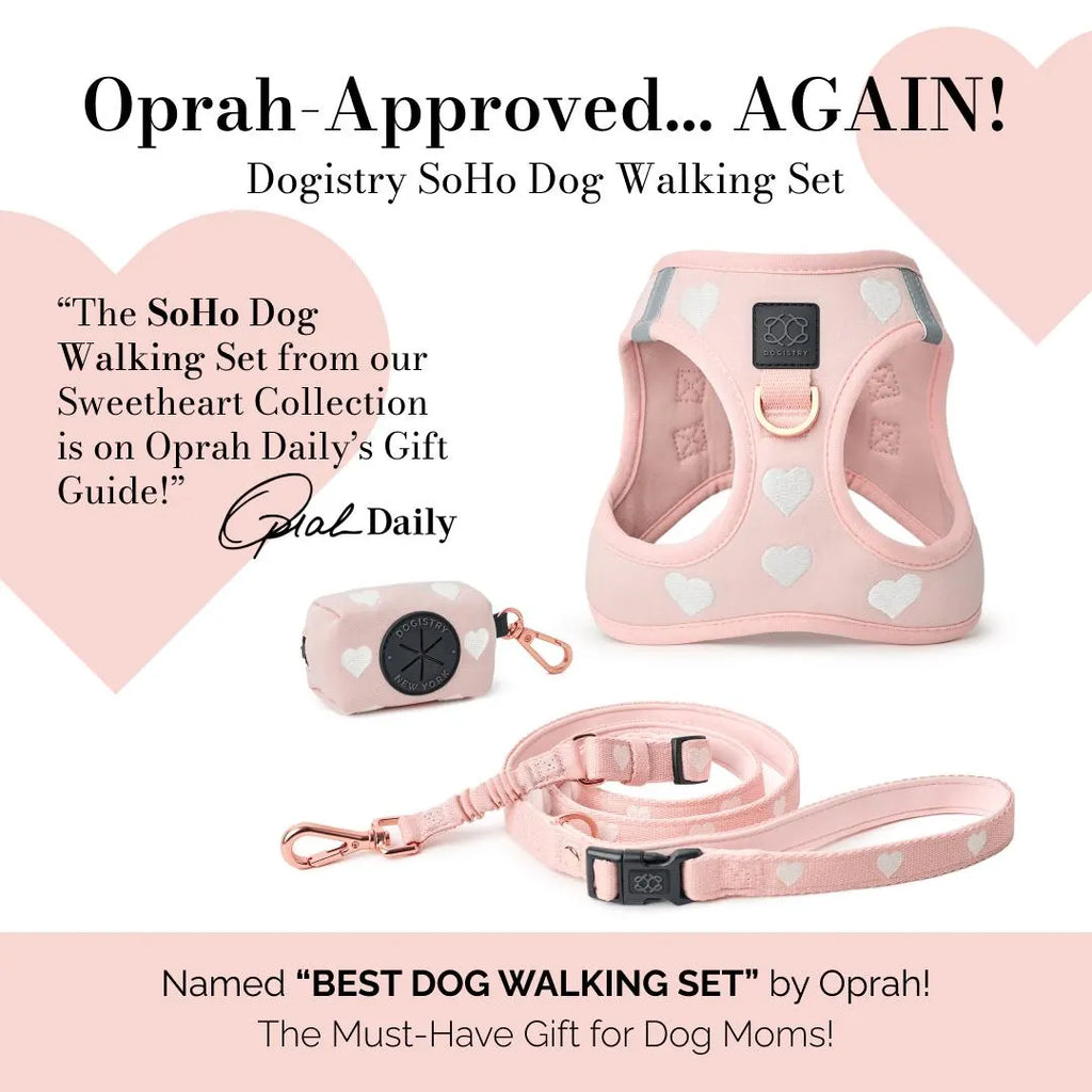 Soho Dog Walking Set - Sweetheart
