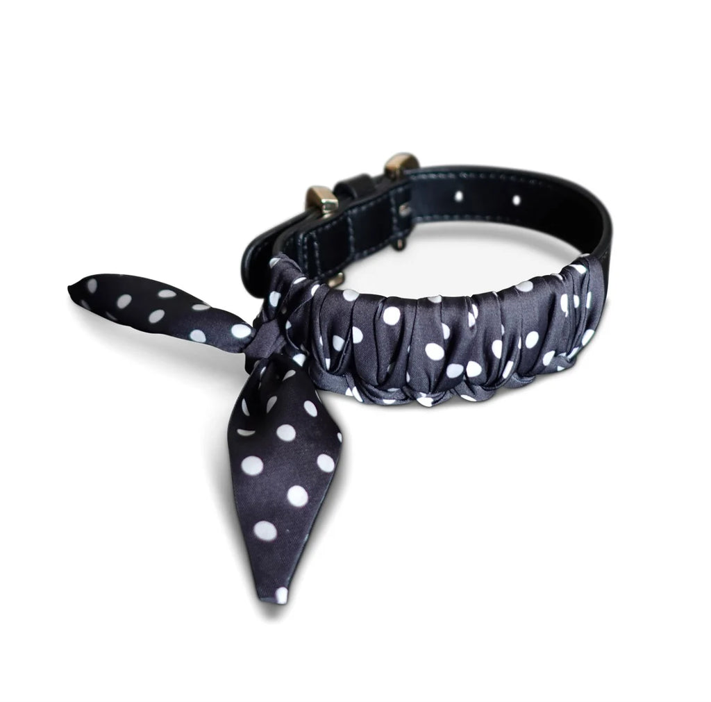 Dog Collar Twilly Polka Dots - Black