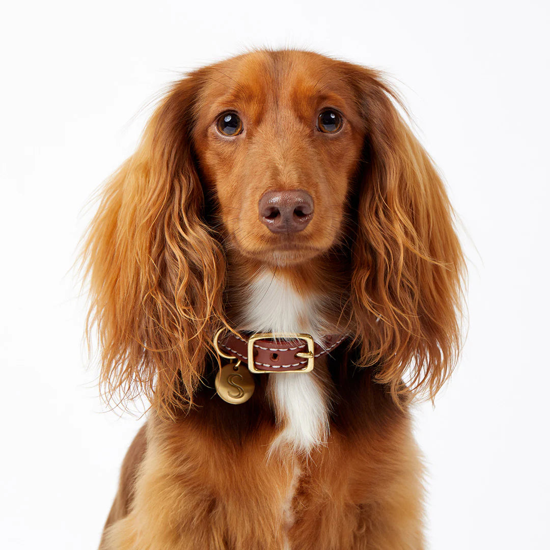 Macramé/Leather Dog Collar - Cognac/Pink