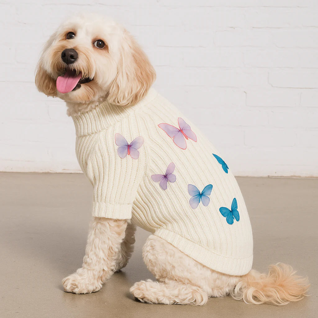 Butterfly Sweater