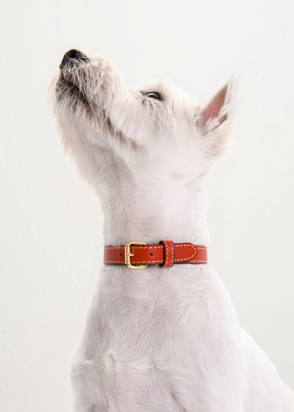 The Rosso Collar Set