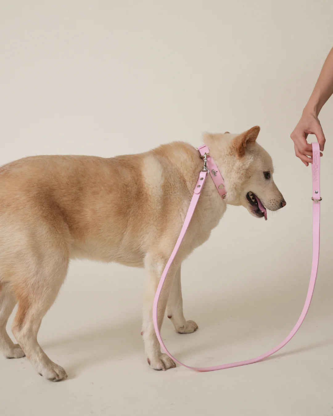 Princess Leash