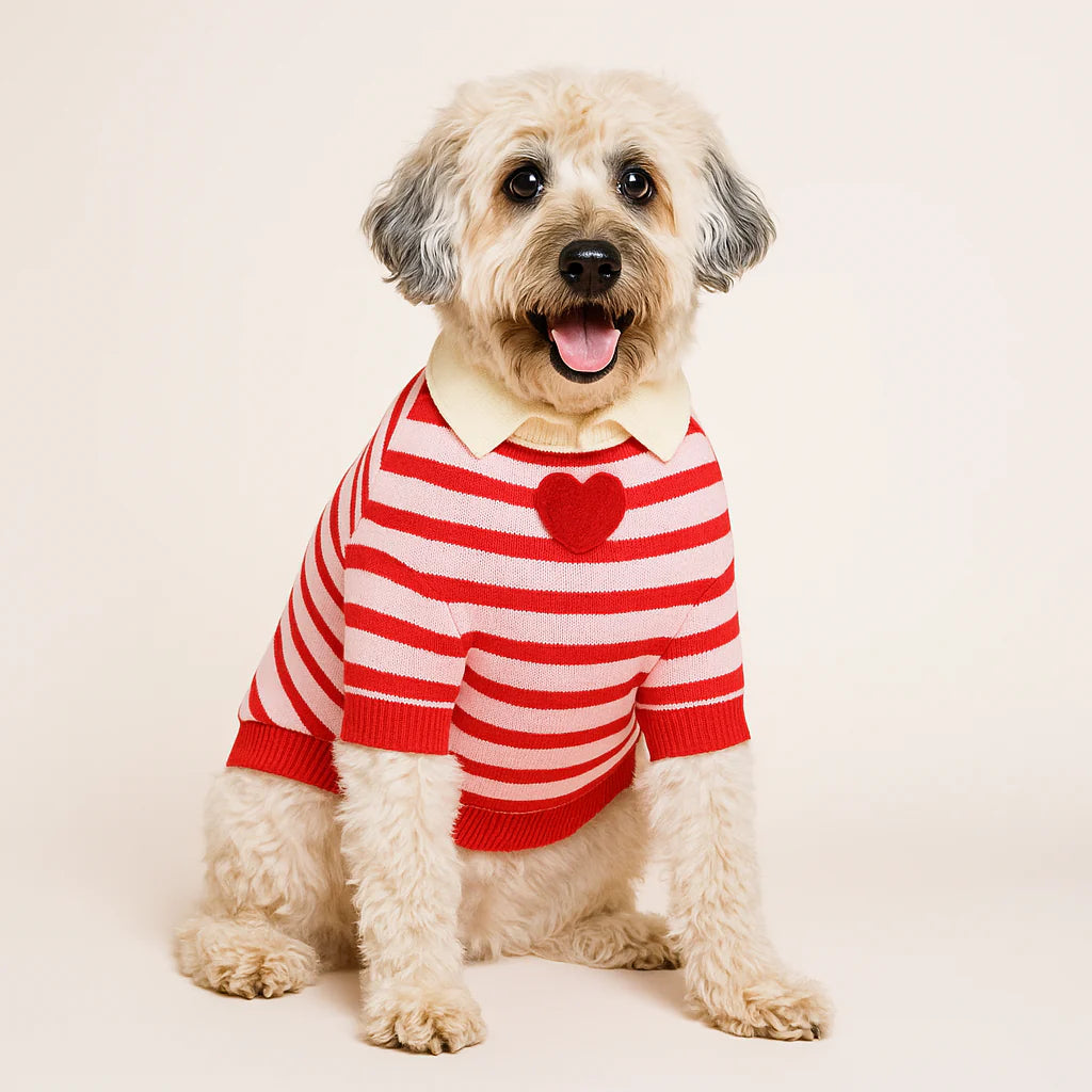 I Love You Polo