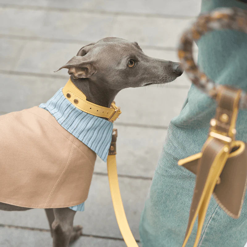 Rosy Leather Collar