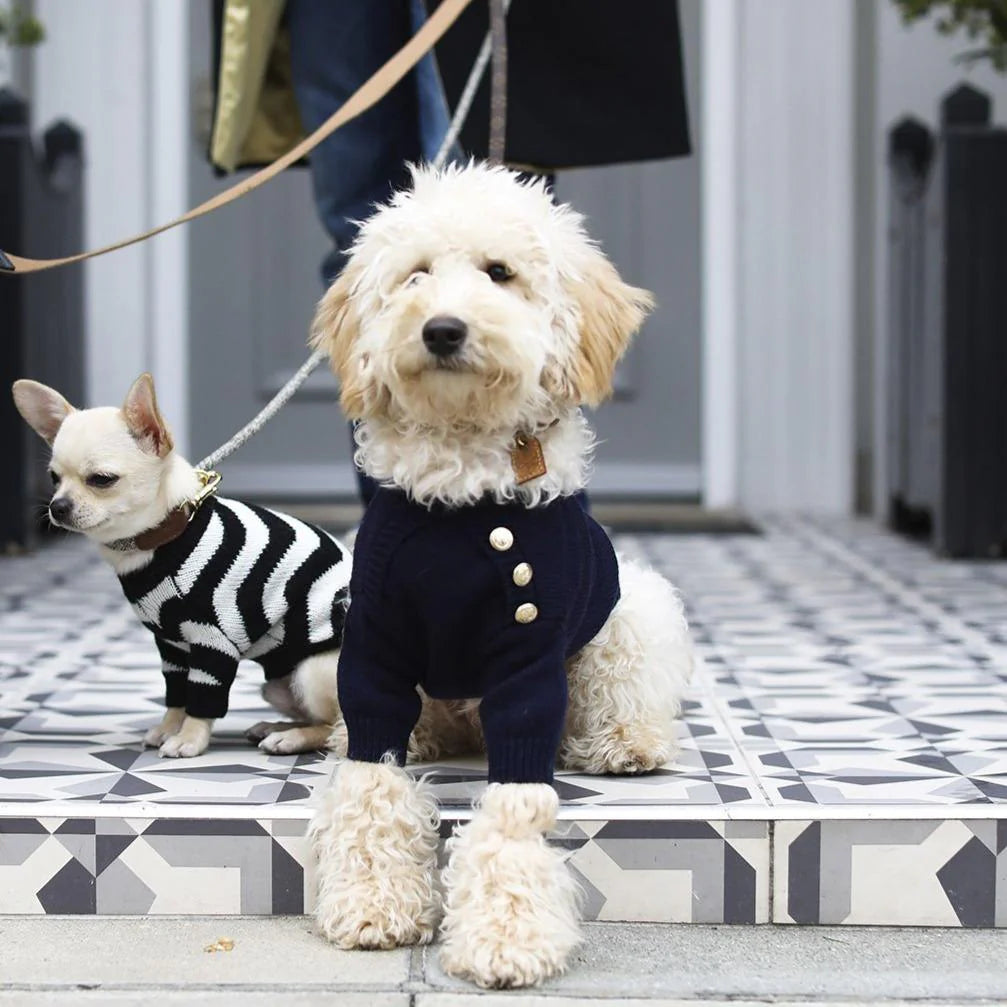 Button Jumper