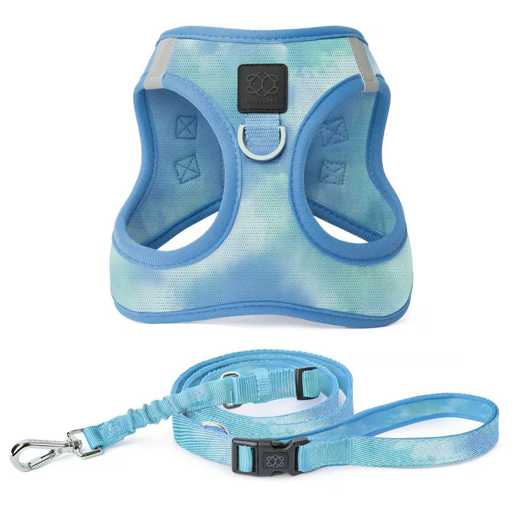 City Leash Set - AIR