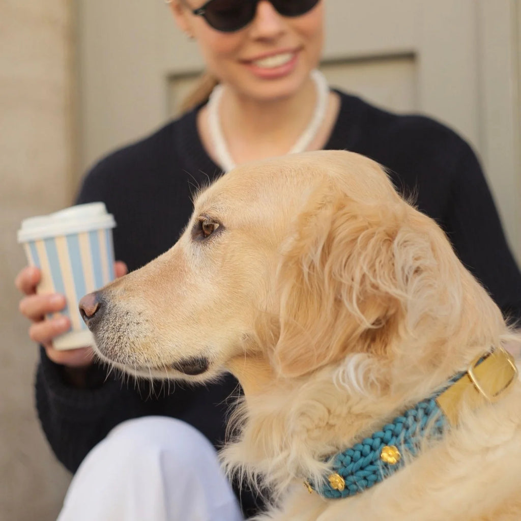 Flor Turquoise Collar