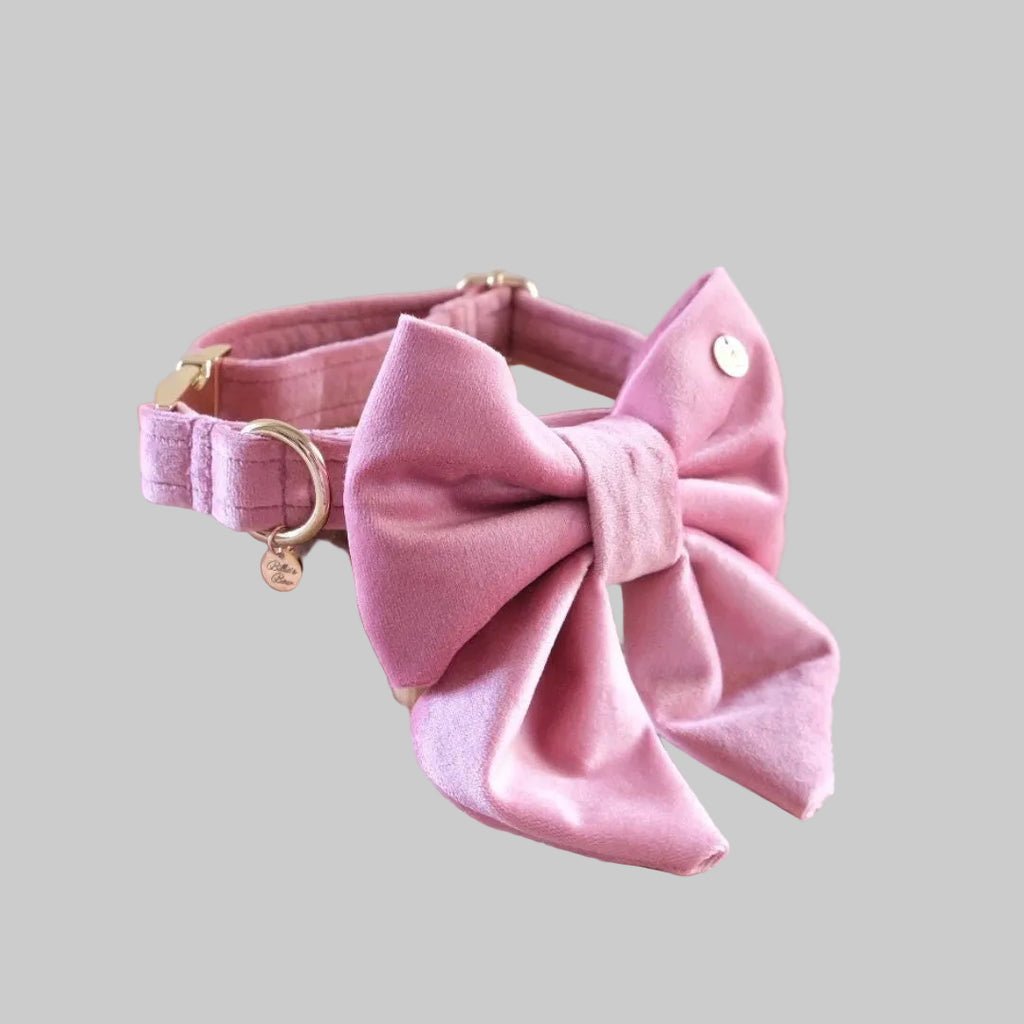 Velvet Bow Collar Set