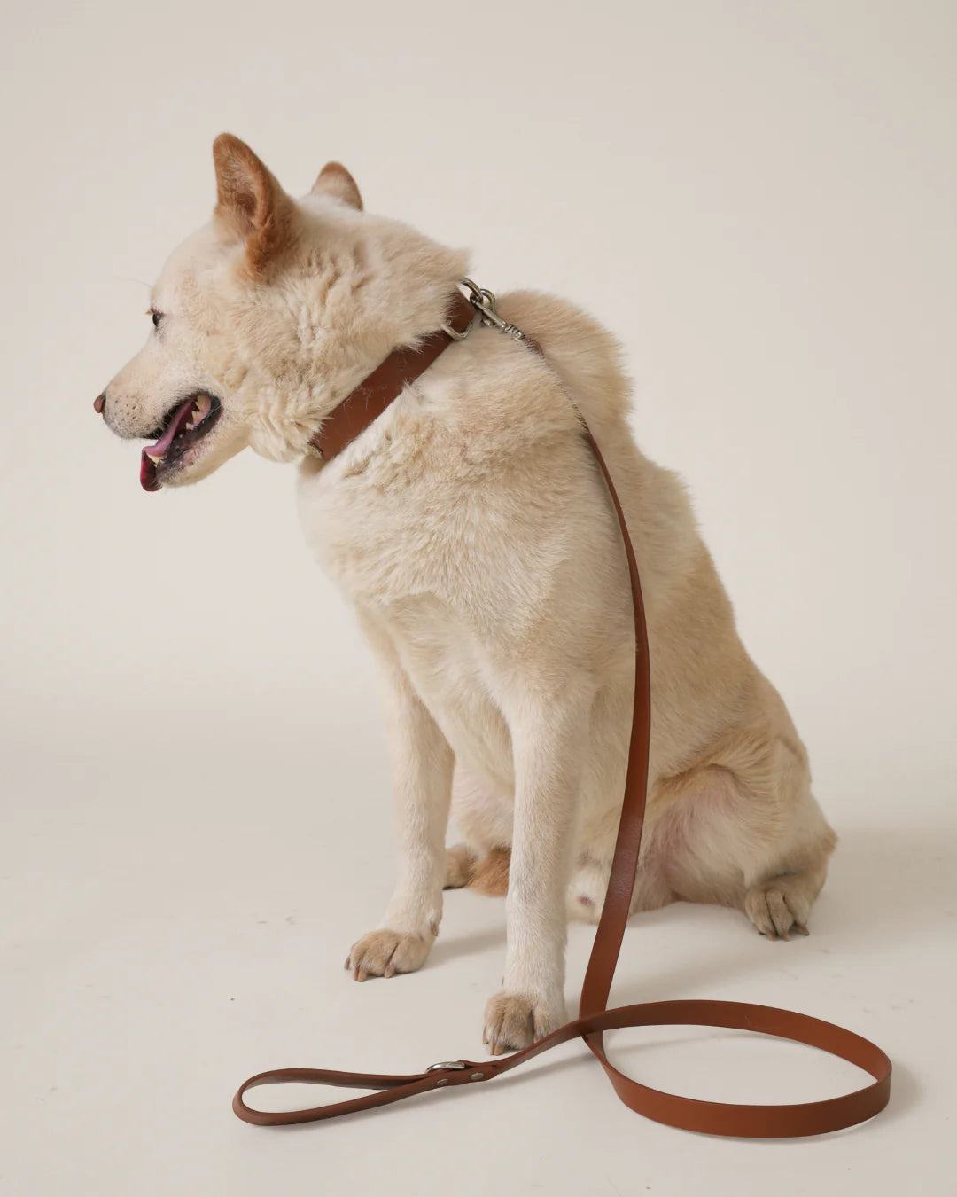Boss Leash