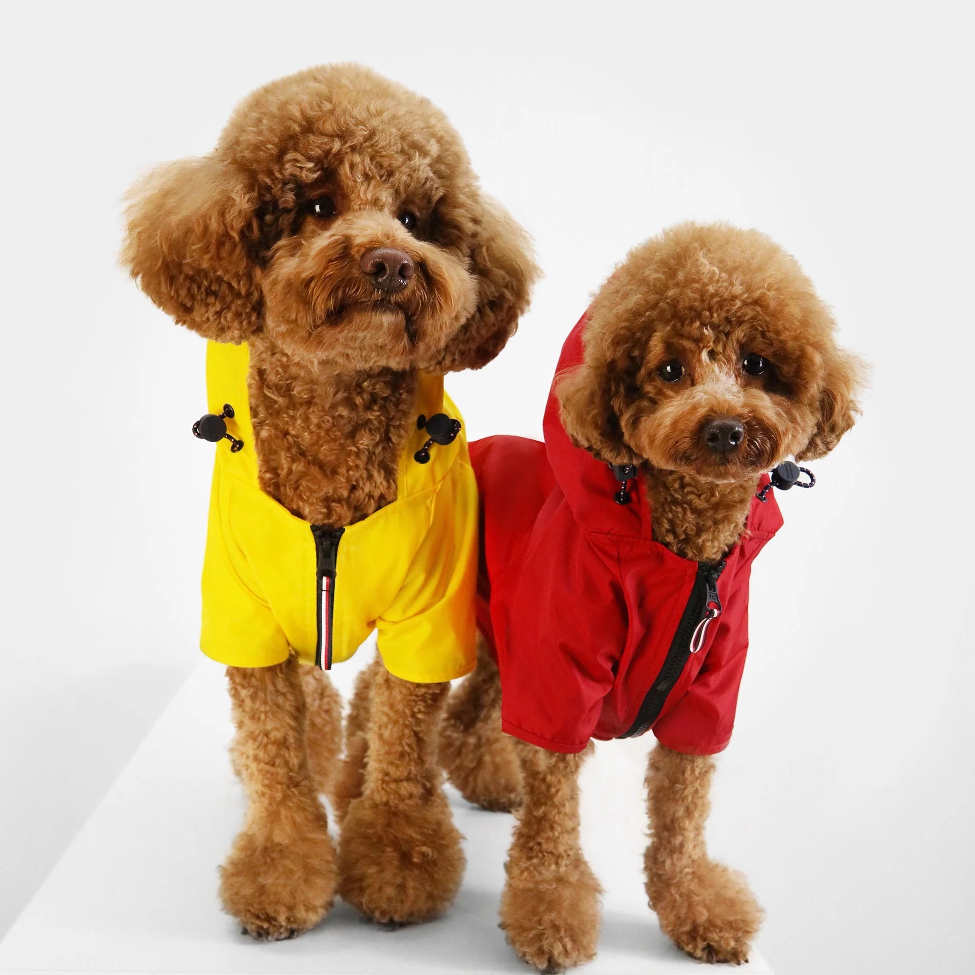 Rain Coat