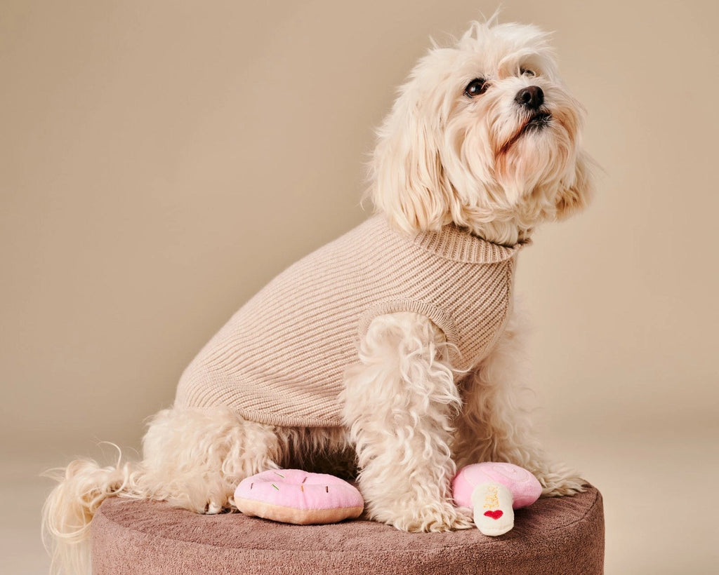 Ellie Sweater – Beige