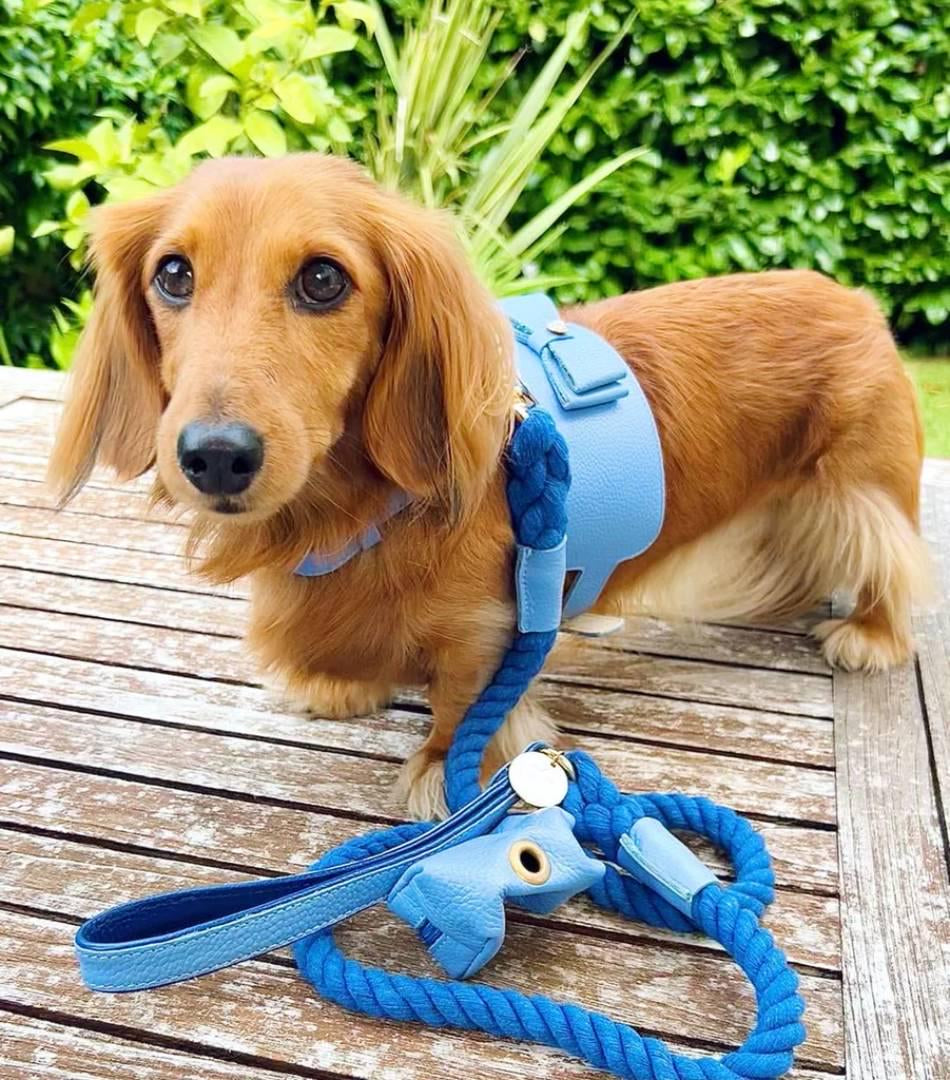 The Leather Poop Bag Holder