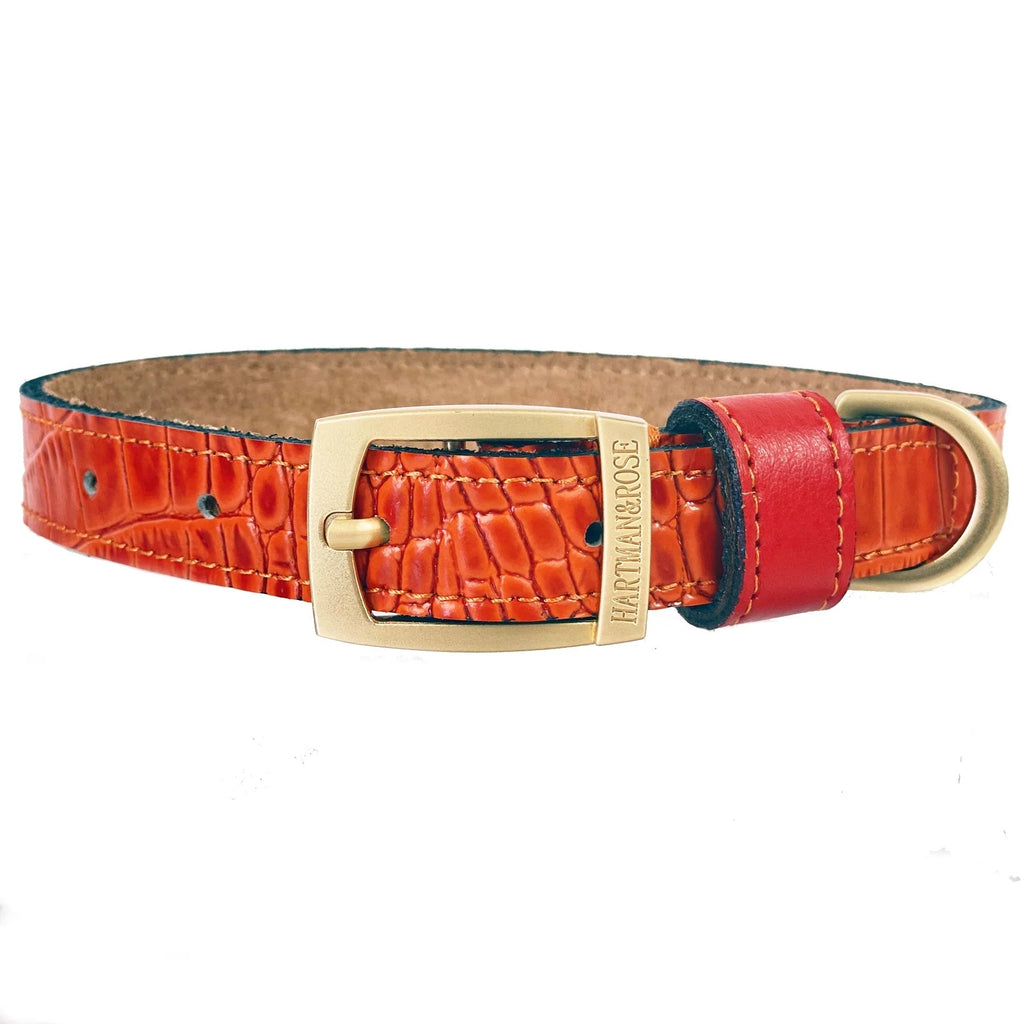 Cayman Dog Collar in Tangerine