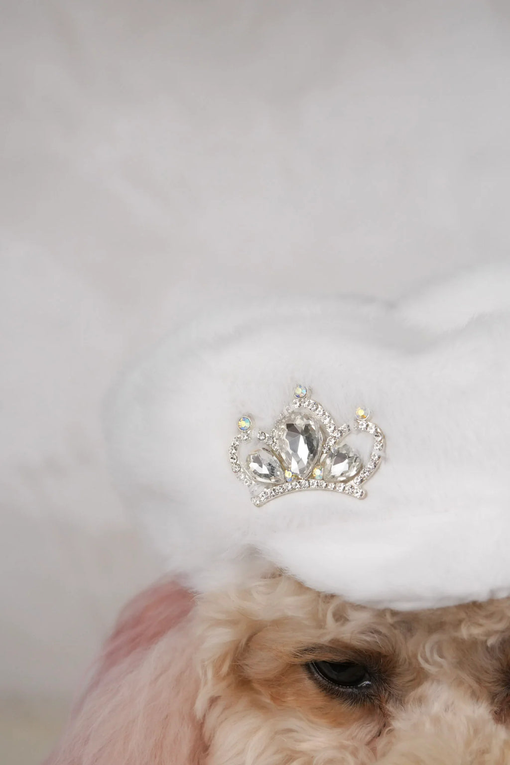 Snow Belle