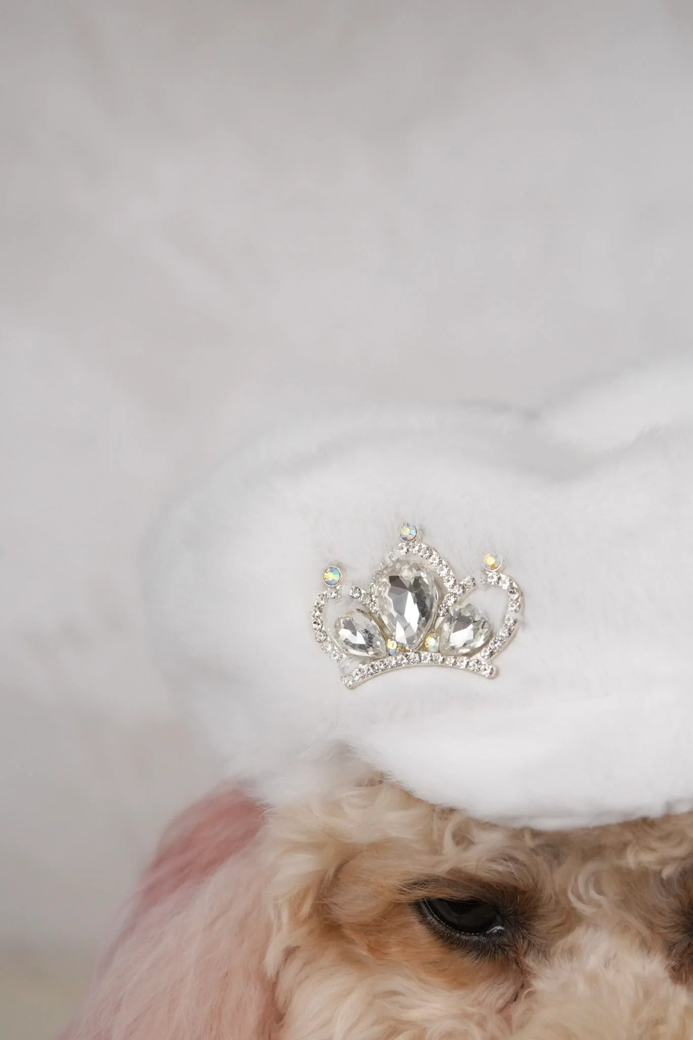 Snow Belle