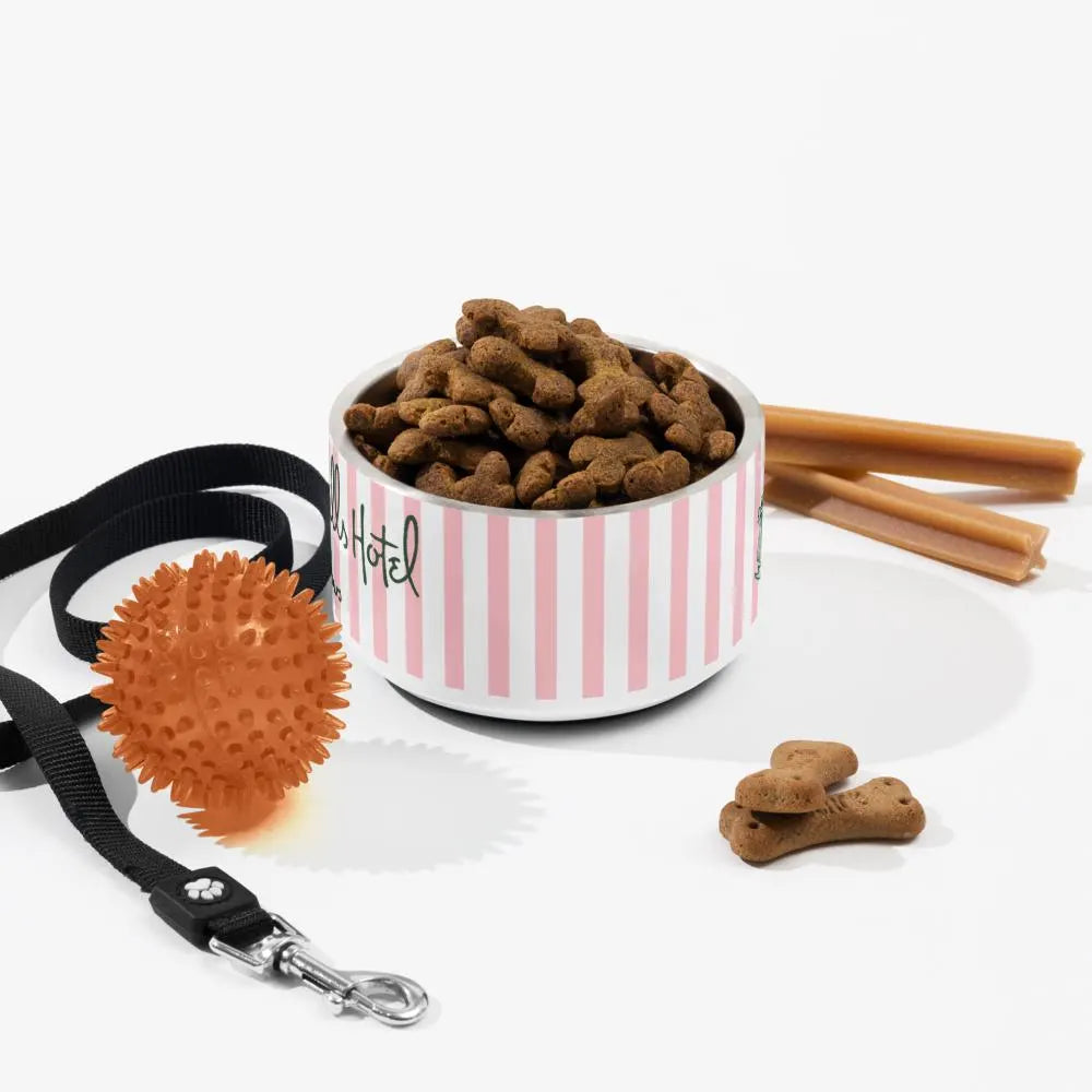 The Beverly Hills Pet Bowl 