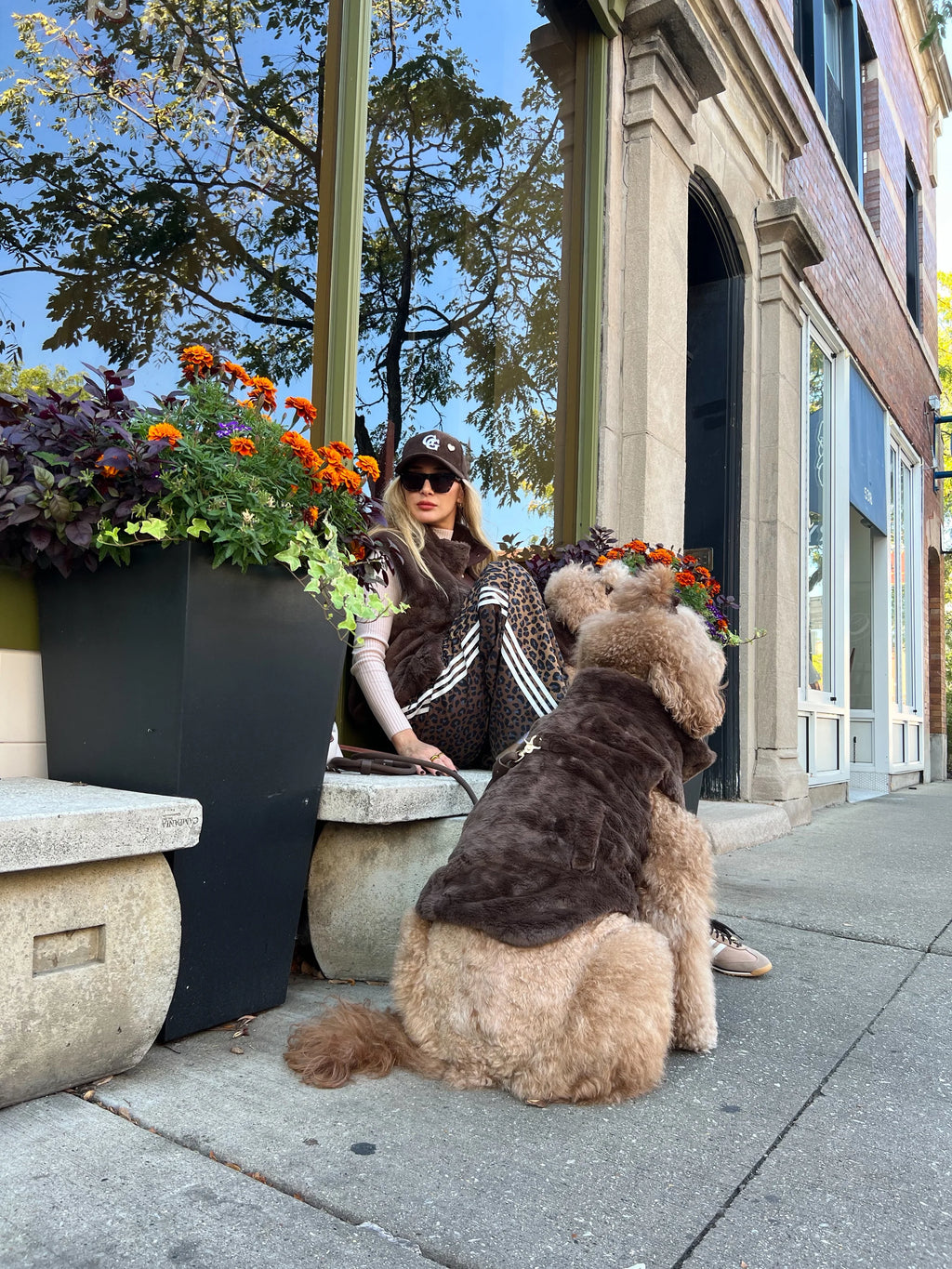Furlowe Mocha Dog Vest